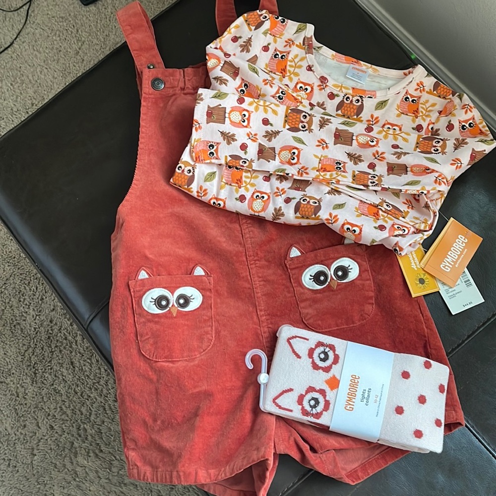 Gymboree owl overall set!  Includes:overalls, l/s top and tights all nwt
